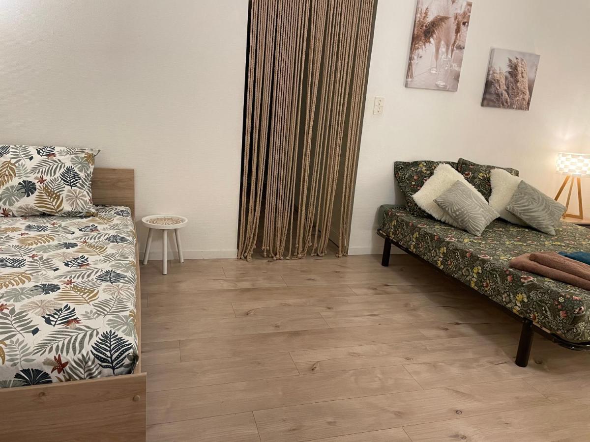 ミヨーT2 Plein Centre Au 1Er Etage Avec Parking Priveアパートメント エクステリア 写真